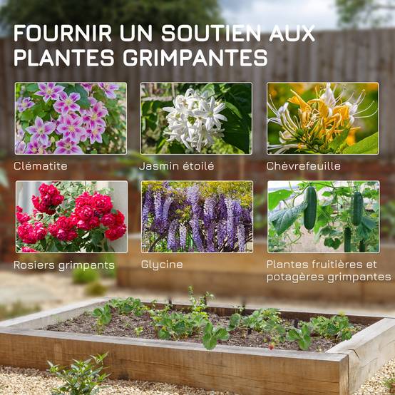 Lot 2 Treillis Jardin Métal Plantes Grimpantes Aménagement Extérieur 51x120cm Noir - ComfortXL Outdoor Living - Image 6