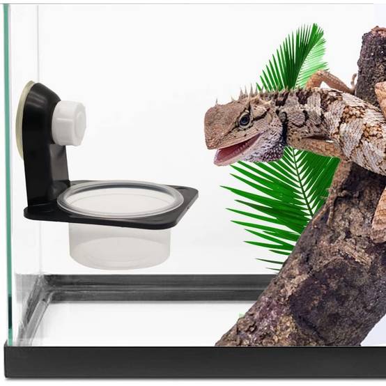 Tasses d'alimentation pour reptiles - Lytech - Image 3