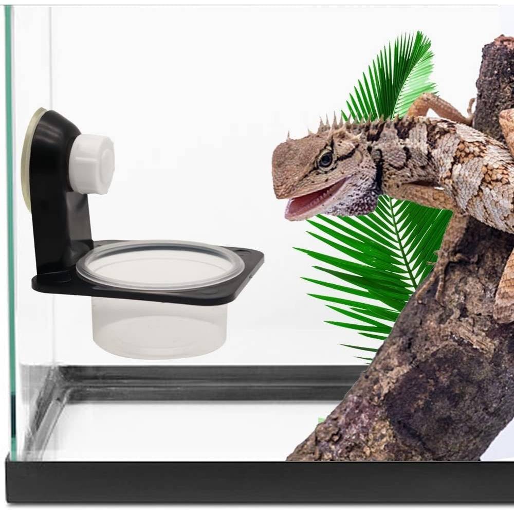 Tasses d'alimentation pour reptiles - Lytech - Image 3