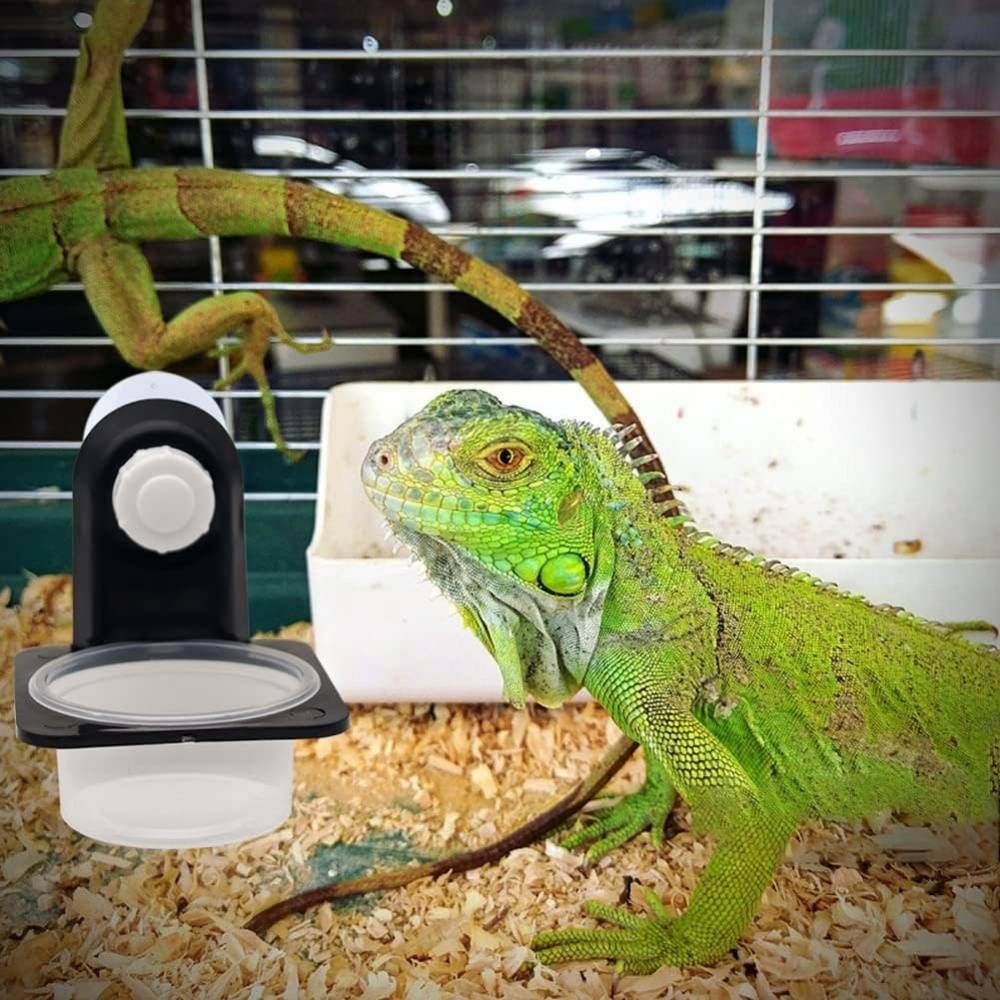 Tasses d'alimentation pour reptiles - Lytech - Image 4