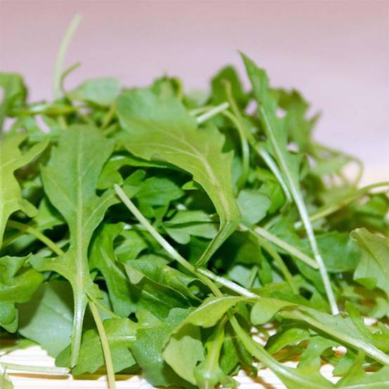 Roquette cultivée Bio le sachet de 1000 graines environ (3g)