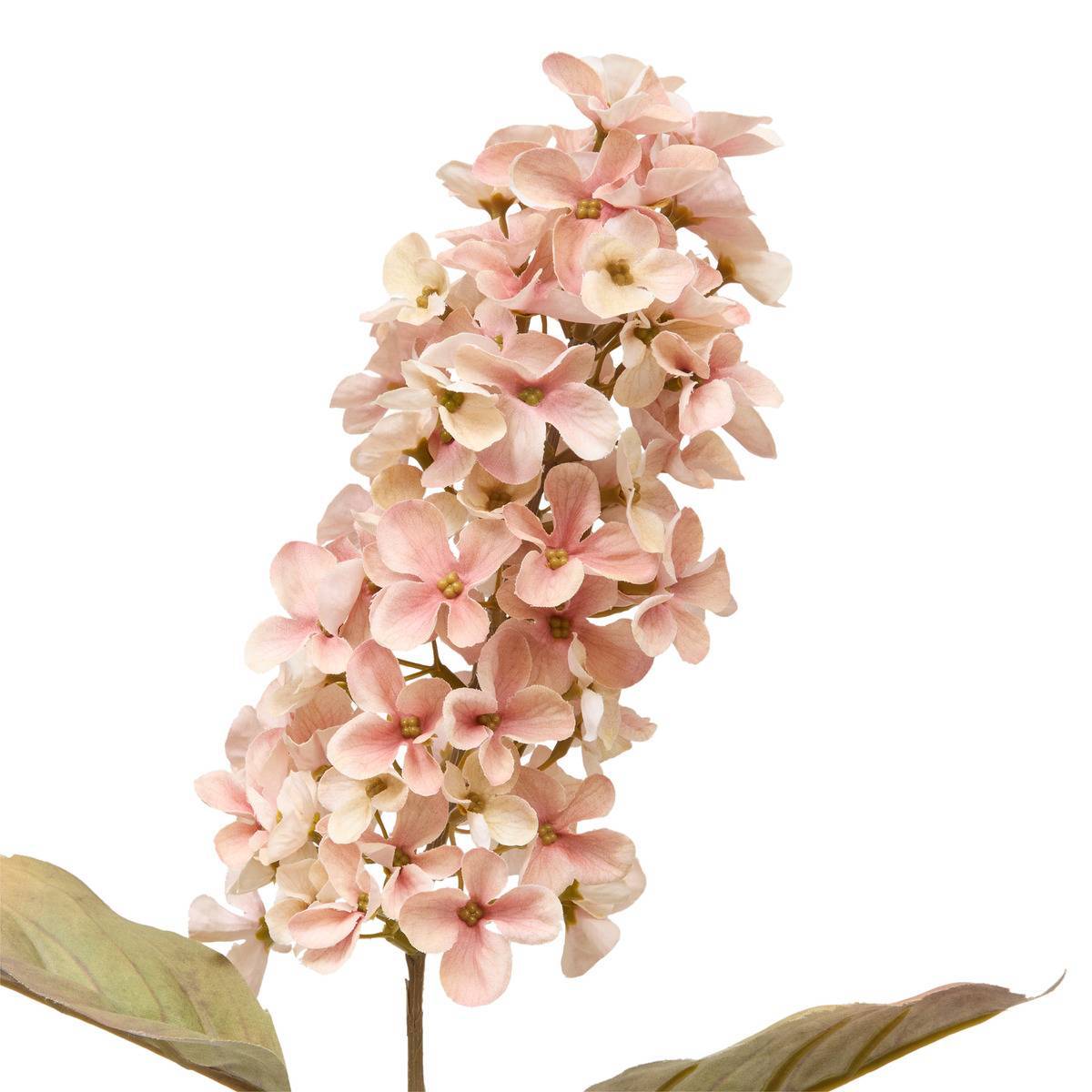 Atmosphera - Fleur artificielle Fria H66cm - Atmosphera Créateur d'intérieur - Image 4