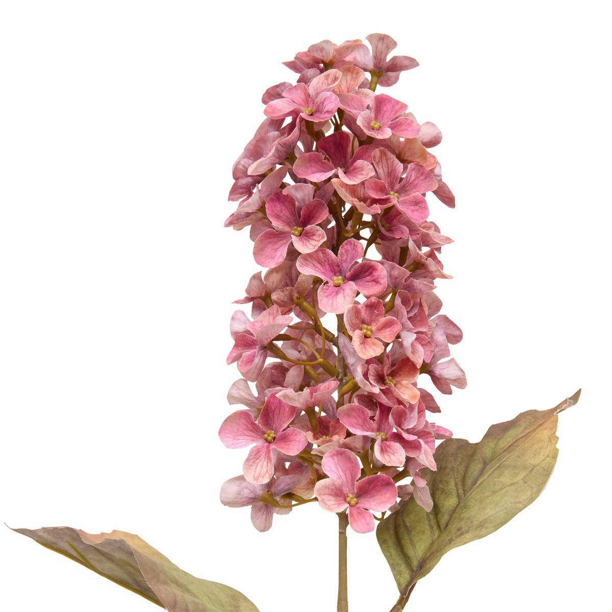 Atmosphera - Fleur artificielle Fria H66cm - Atmosphera Créateur d'intérieur - Image 1