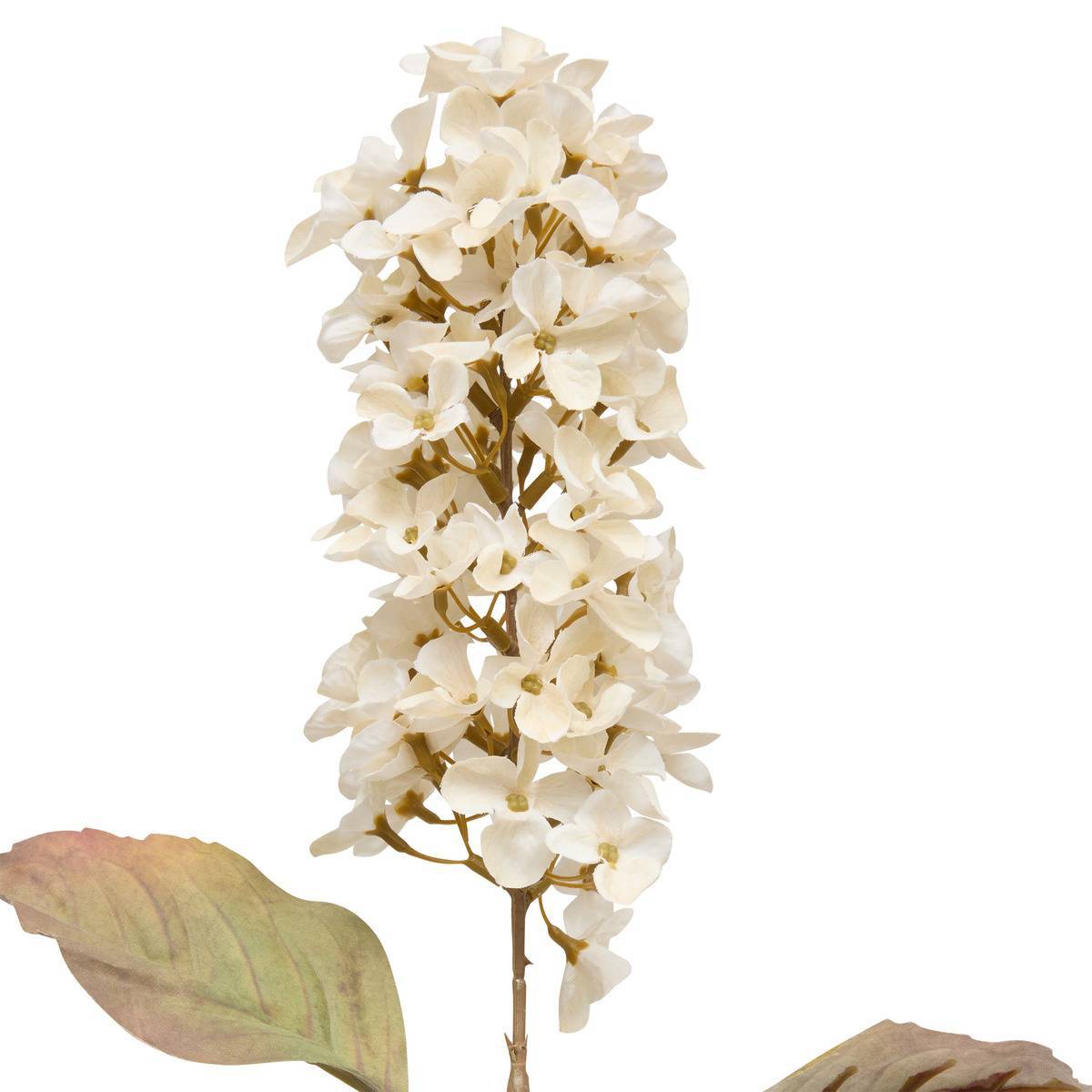Atmosphera - Fleur artificielle Fria H66cm - Atmosphera Créateur d'intérieur - Image 3