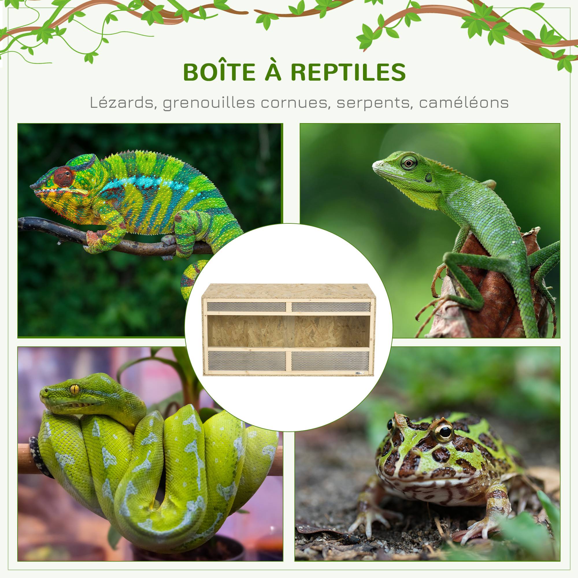 Sans Marque - Terrarium en bois OSB pour reptiles avec porte coulissante en verre - 100 x 47 x 47 cm naturel - Image 6