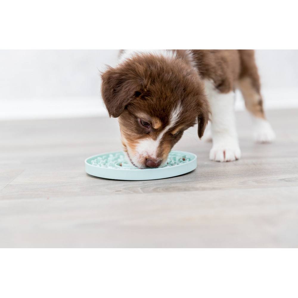 Trixie - Junior Lick'n'Snack Assiette à lécher, ø 15 cm pour chien. - Image 6