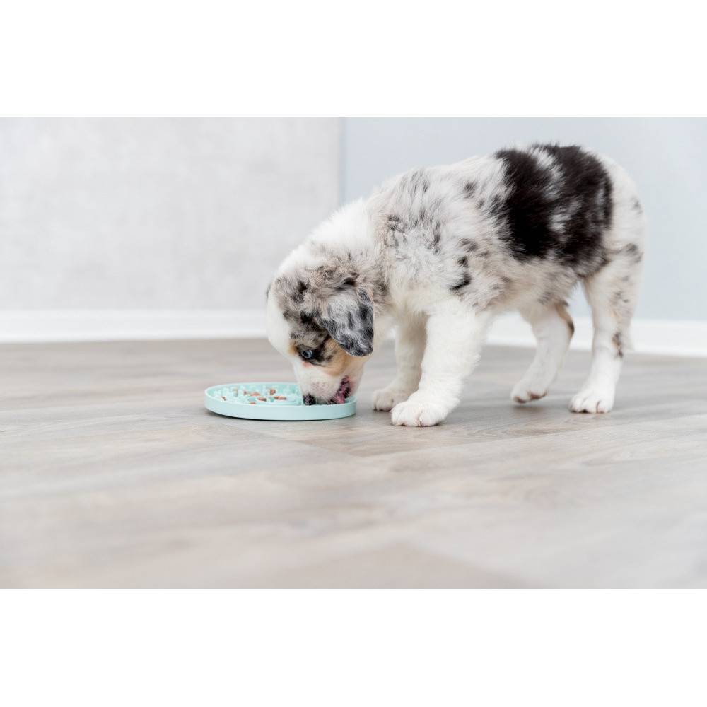 Trixie - Junior Lick'n'Snack Assiette à lécher, ø 15 cm pour chien. - Image 7
