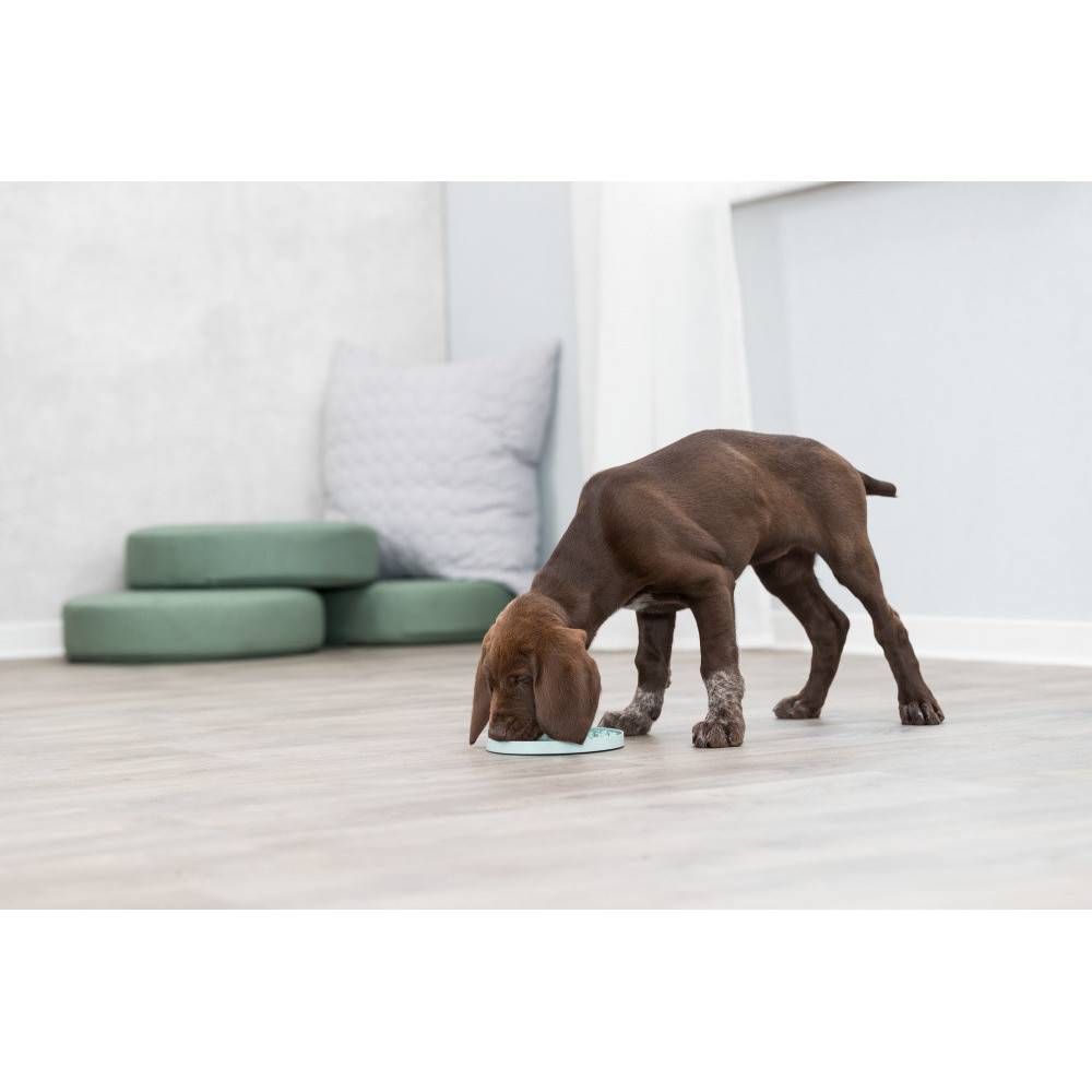 Trixie - Junior Lick'n'Snack Assiette à lécher, ø 15 cm pour chien. - Image 8