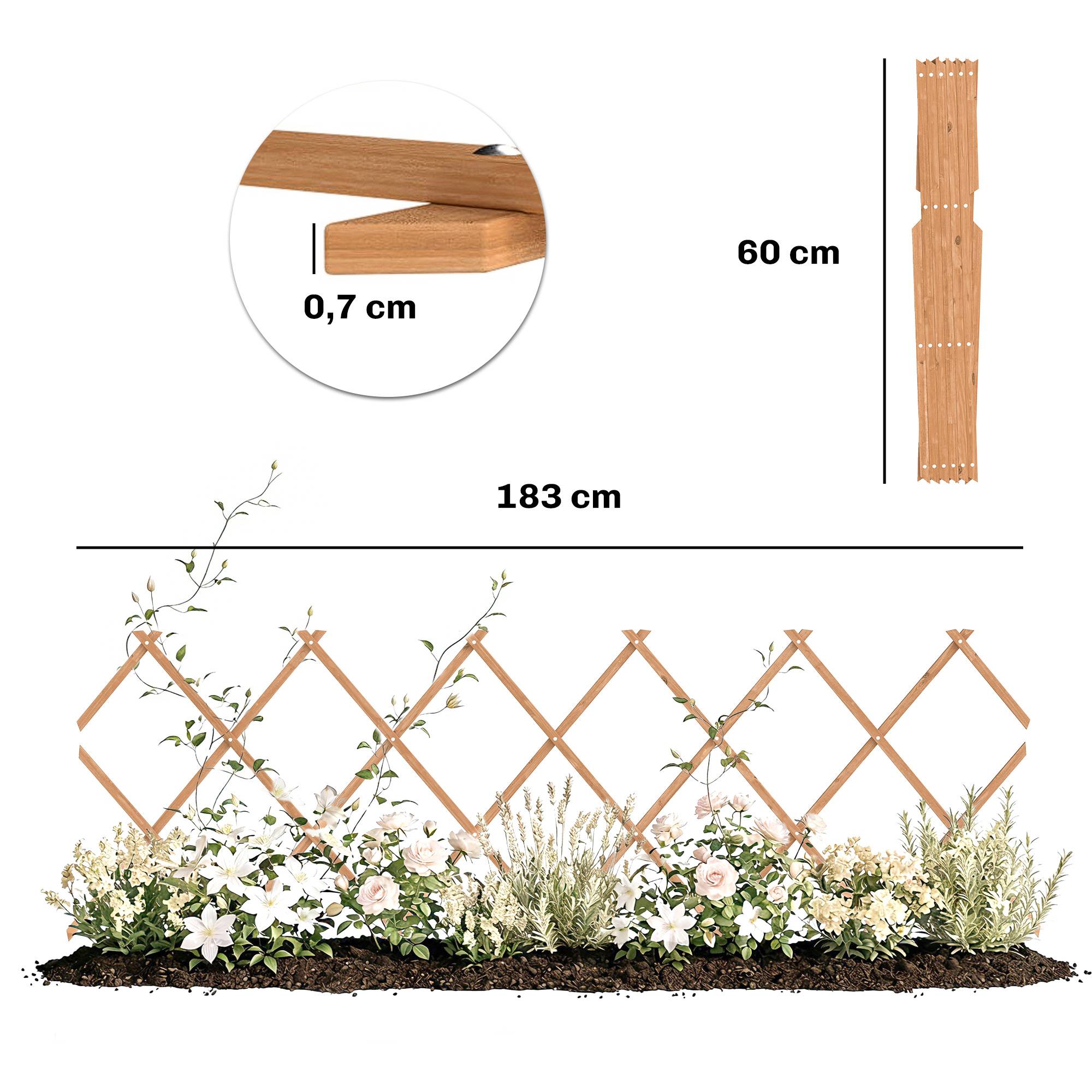 Treillis de jardin extensible bois sapin support plantes grimpantes 180x60cm marron - ComfortXL Outdoor Living - Image 4