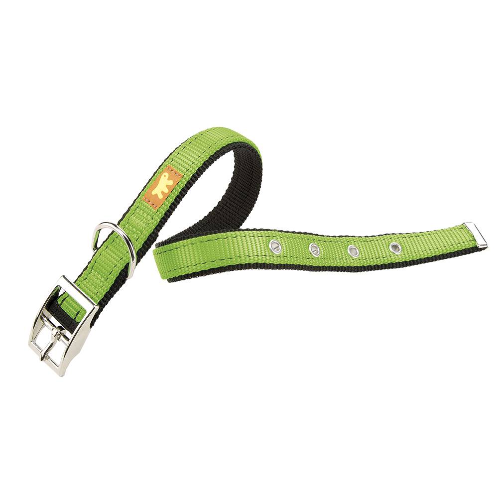 Ferplast - DUAL CF25/45 COLOURS Collier chien A: 37÷45 cm - B: 25 mm Vert - Image 1