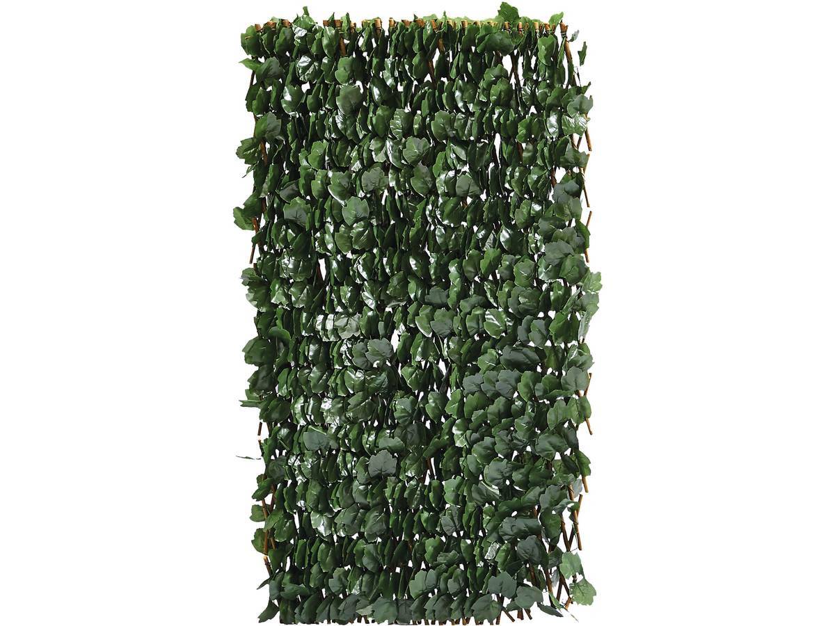 Clôture En Treillis De Saule "fragon" - 200 X 100 Cm - Vert -habitat Et Jardin - Image 1