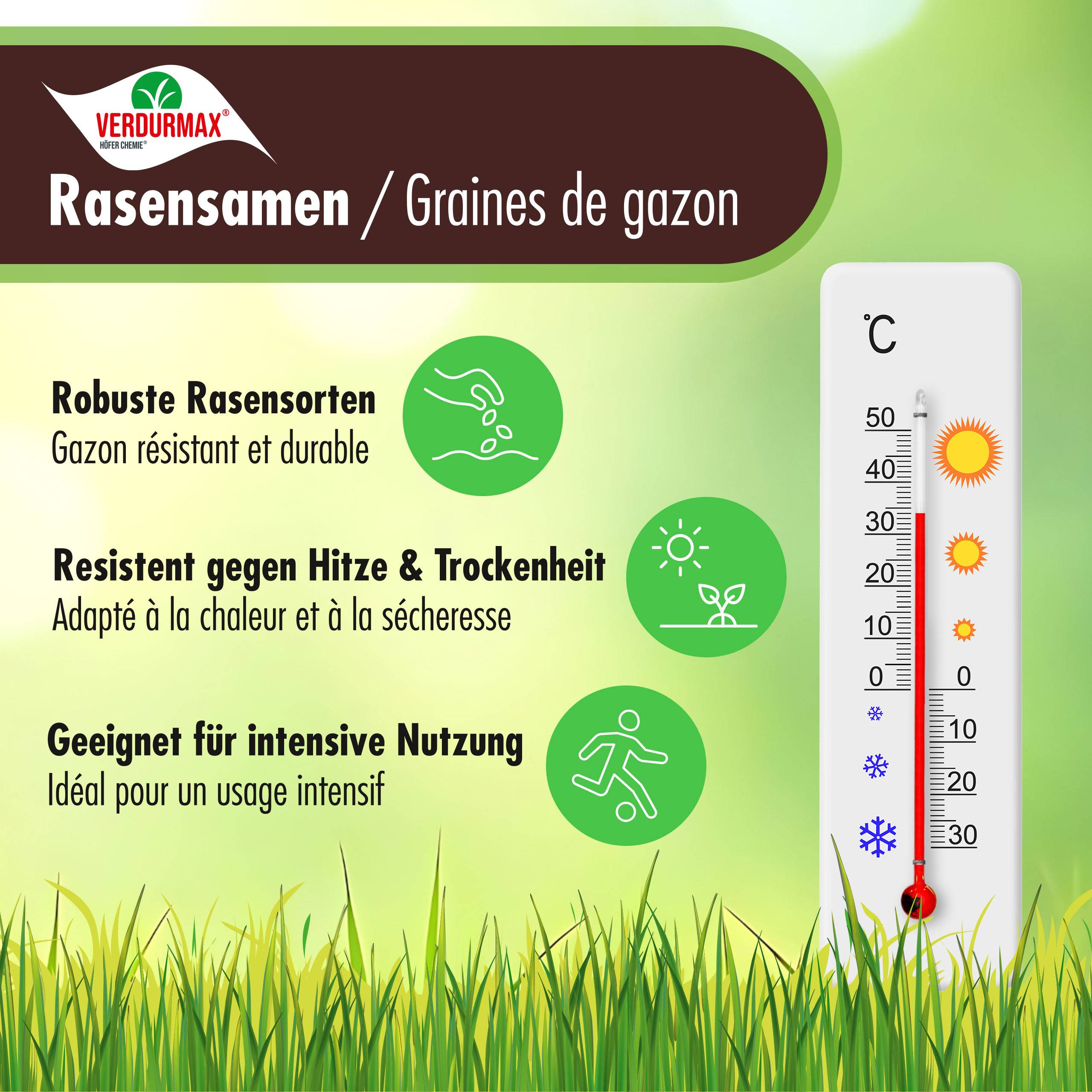 5 kg VERDURMAX® Semences de gazon x 1 - Image 3