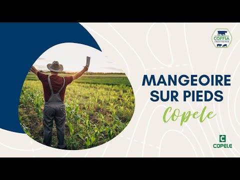 Copele - Mangeoire pour volailles sur pieds 40L COPELE - Image 4