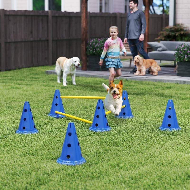 Kit Agility Obstacles Plastique pour Entraînement Chien Hauteur Réglable Bleu - ComfortXL Outdoor Living