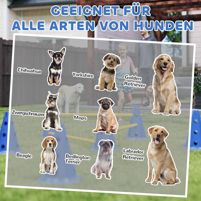 Kit Agility Obstacles Plastique pour Entraînement Chien Hauteur Réglable Bleu - ComfortXL Outdoor Living - Image 7