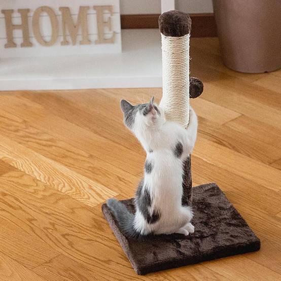 Ferplast - Griffoir Chat PA 4014 avec Colonne en Sisal et Balle de Jeu - Image 3