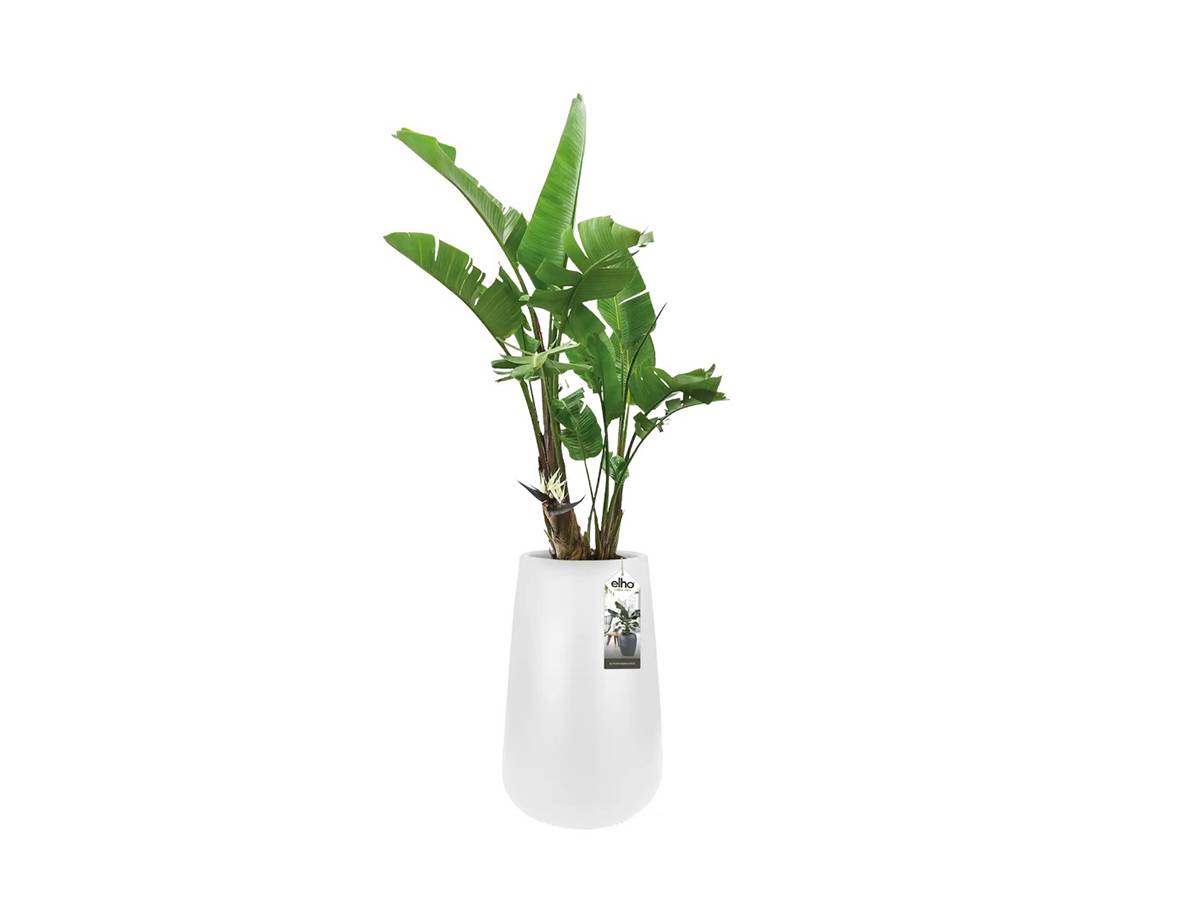 Pot de fleurs Pure Cone High Ø 55 x H.84 cm - Blanc - Image 2