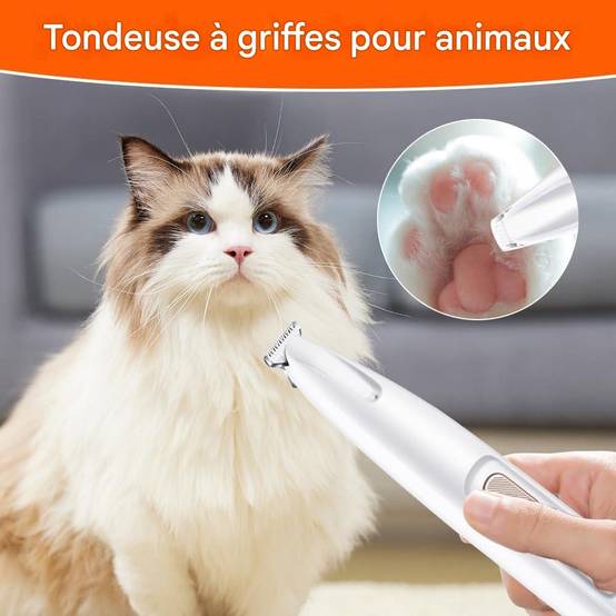 Rasoir électrique pour pattes de chien DtopbuyAge - Image 5