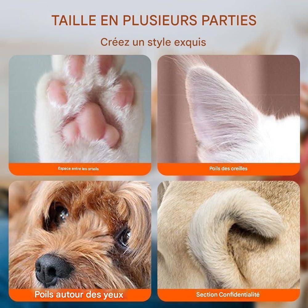 Rasoir électrique pour pattes de chien DtopbuyAge - Image 4
