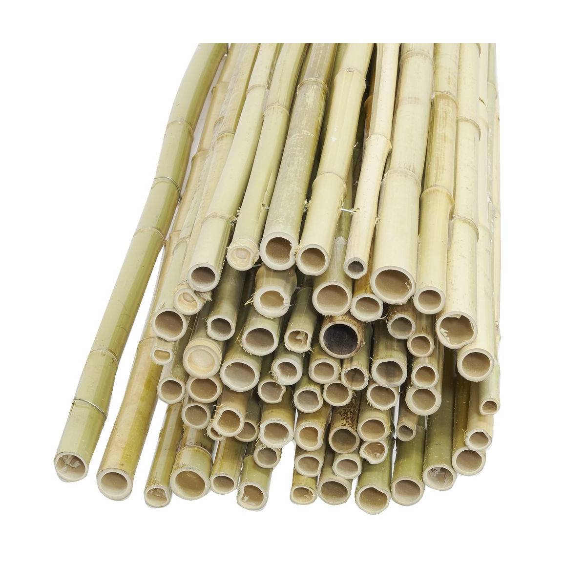 Jardindeco - Canisse en bambou Lot de 3 - Image 1