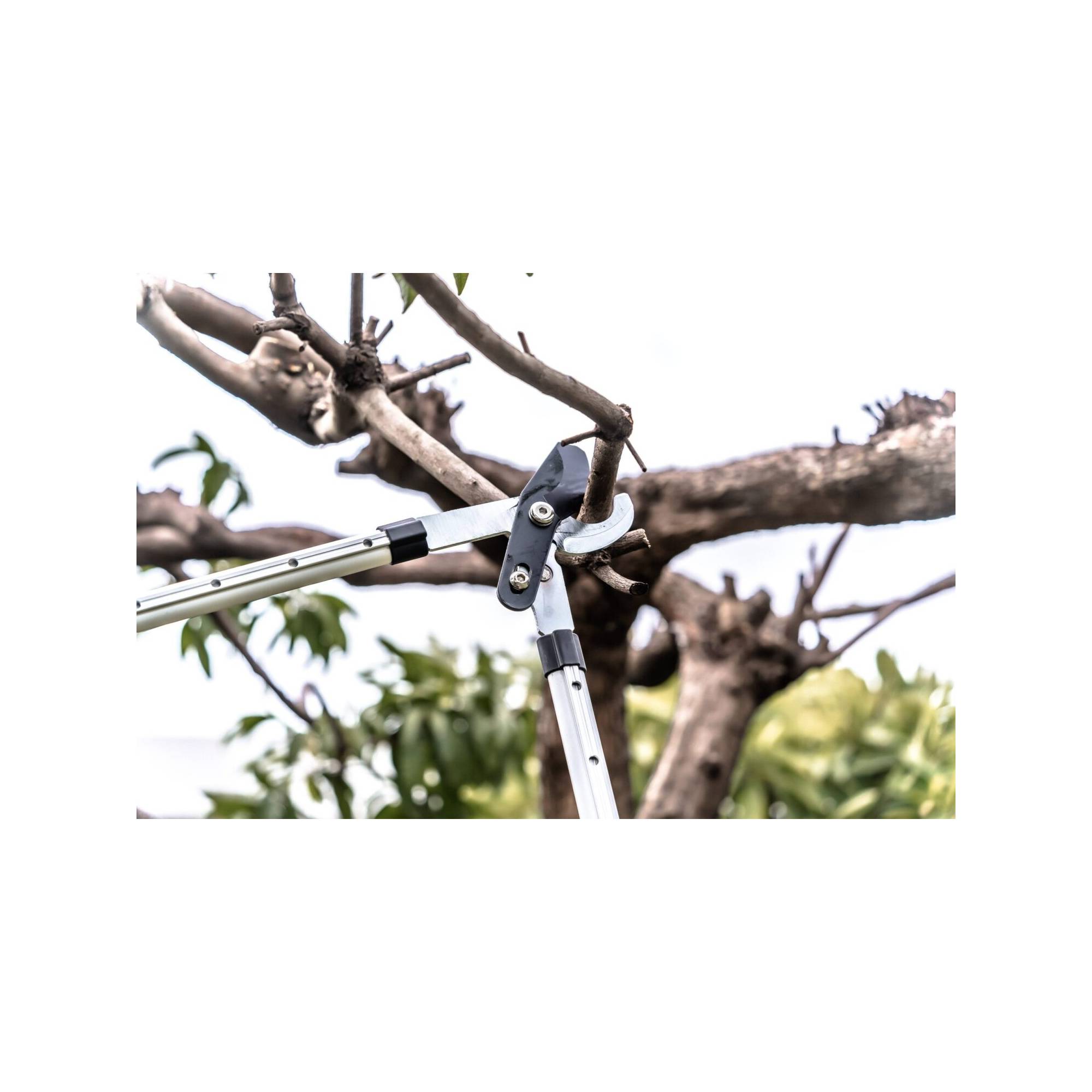 Coupe branche lame enclume - Suan - Manche télescopique - Dimensions : 88,5 x 30,5 x 3 cm - Image 8