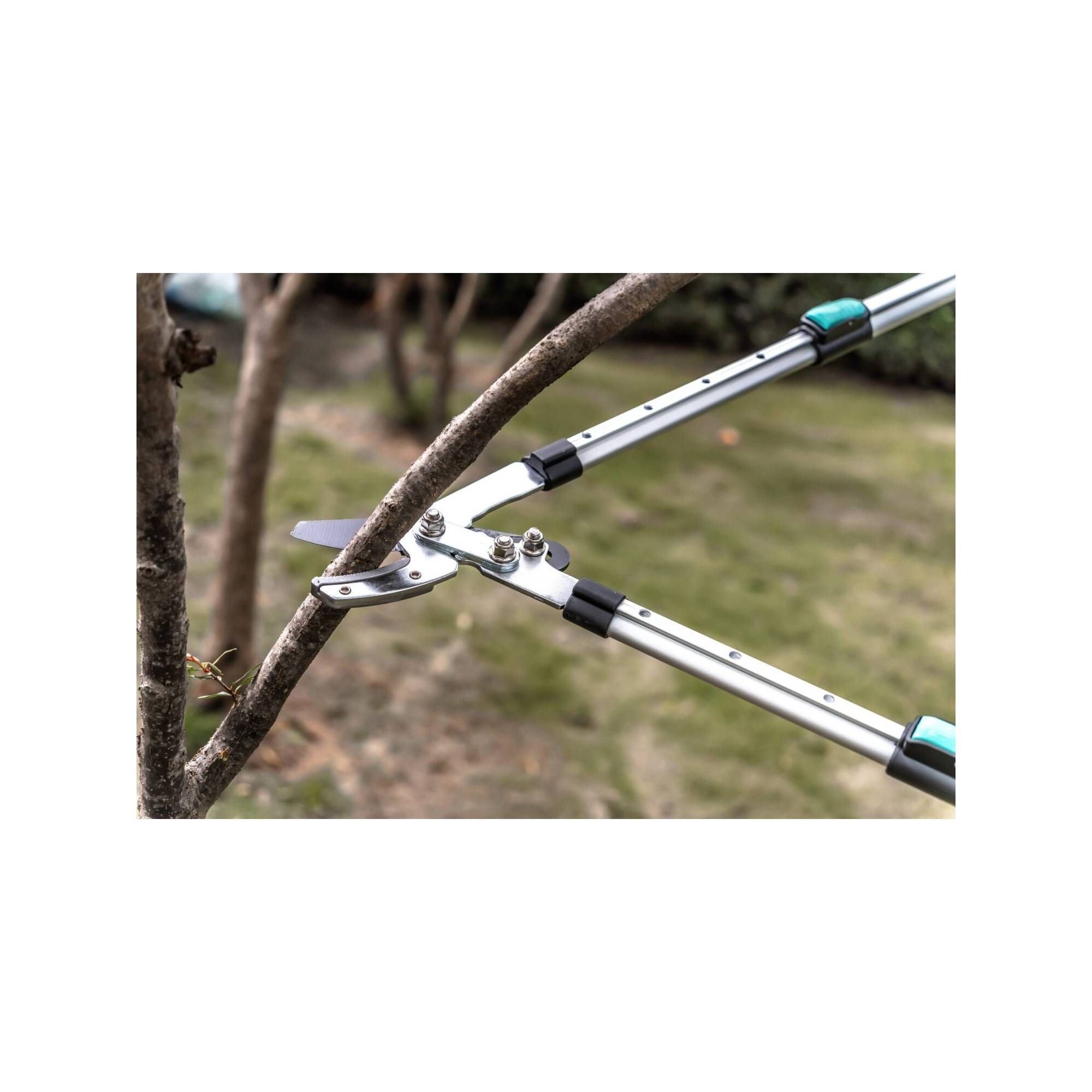 Coupe branche lame enclume - Suan - Manche télescopique - Dimensions : 88,5 x 30,5 x 3 cm - Image 3
