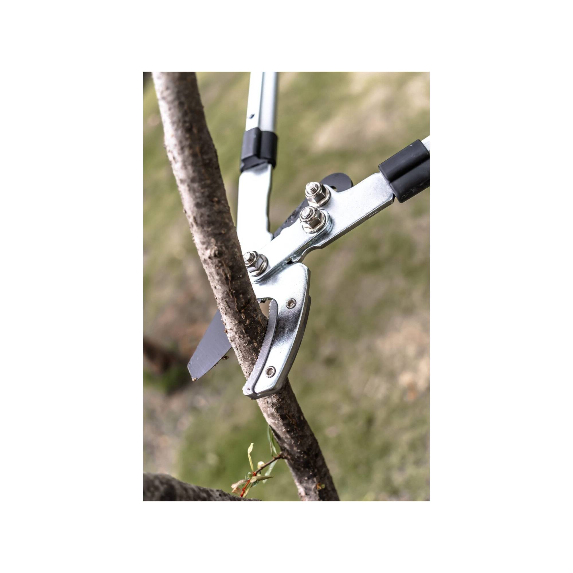Coupe branche lame enclume - Suan - Manche télescopique - Dimensions : 88,5 x 30,5 x 3 cm - Image 2