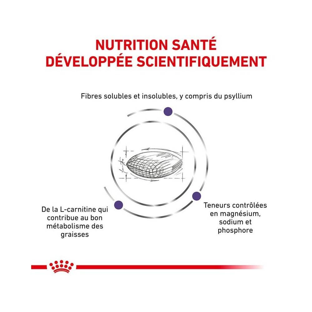 Royal Canin - Croquettes chat VETERINARY CAT NEUTERED SATIETY BALANCE - Royal Canin 8 kg - Image 4