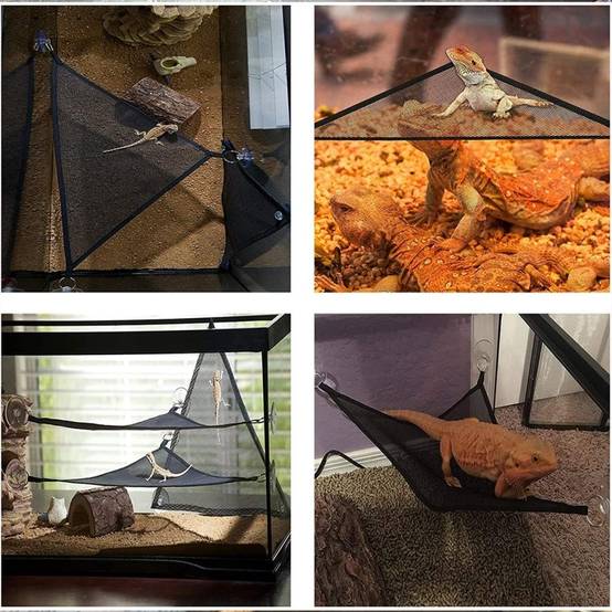 Hamac pour reptiles DtopbuyAge - Image 4