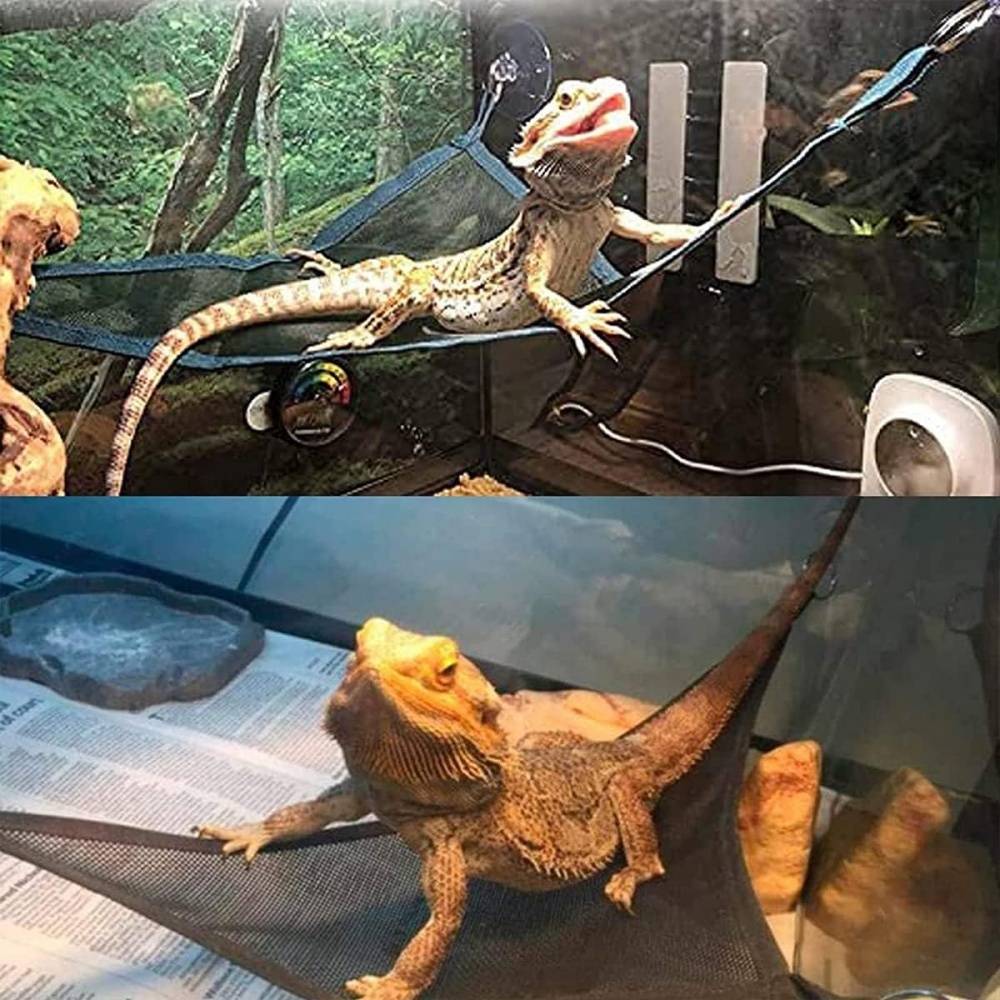 Hamac pour reptiles DtopbuyAge - Image 3