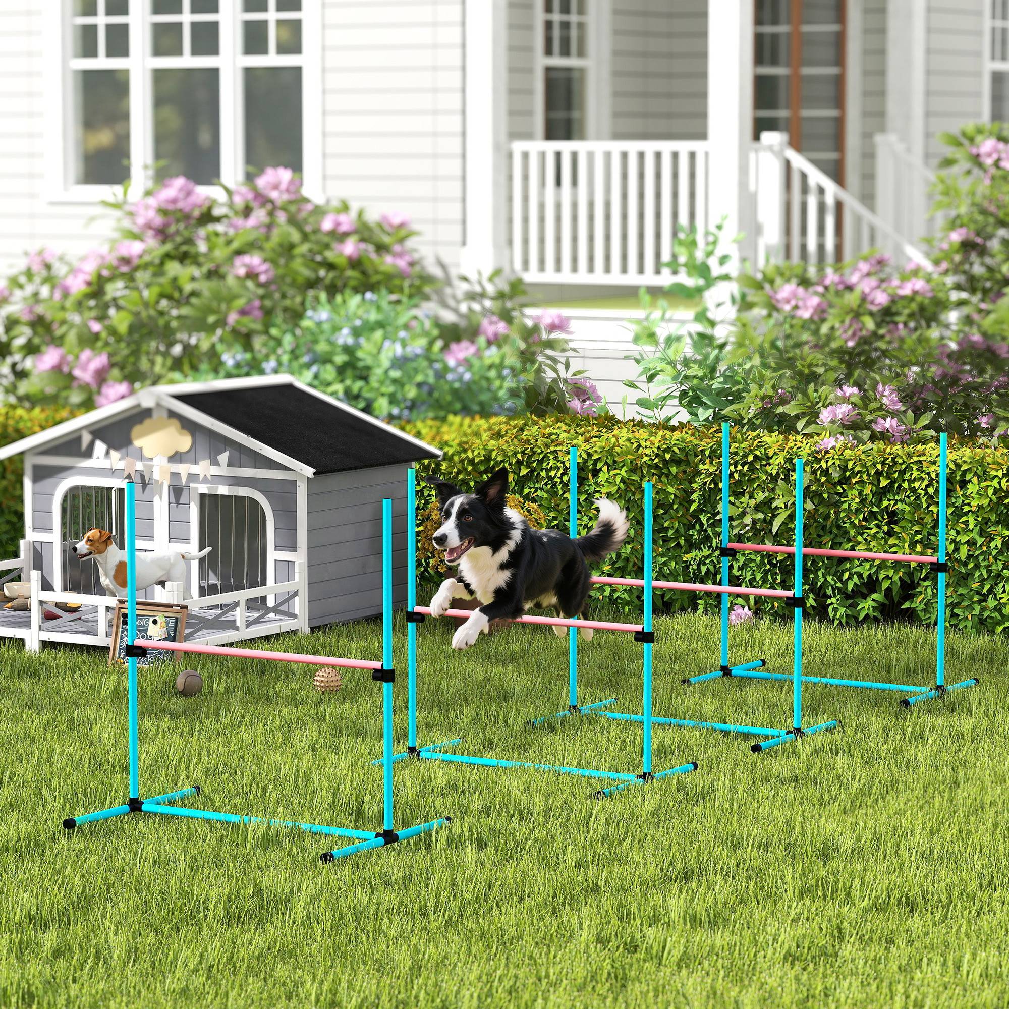 ComfortXL - Parcours agilité chien 4 modules 99 x 65 x 94 cm bleu clair haies réglables et slalom - ComfortXL Outdoor Living - Image 3