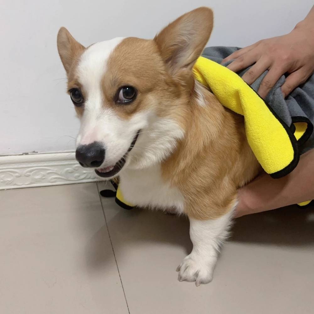 Serviettes pour chien et chat - IntiMeg - Image 5