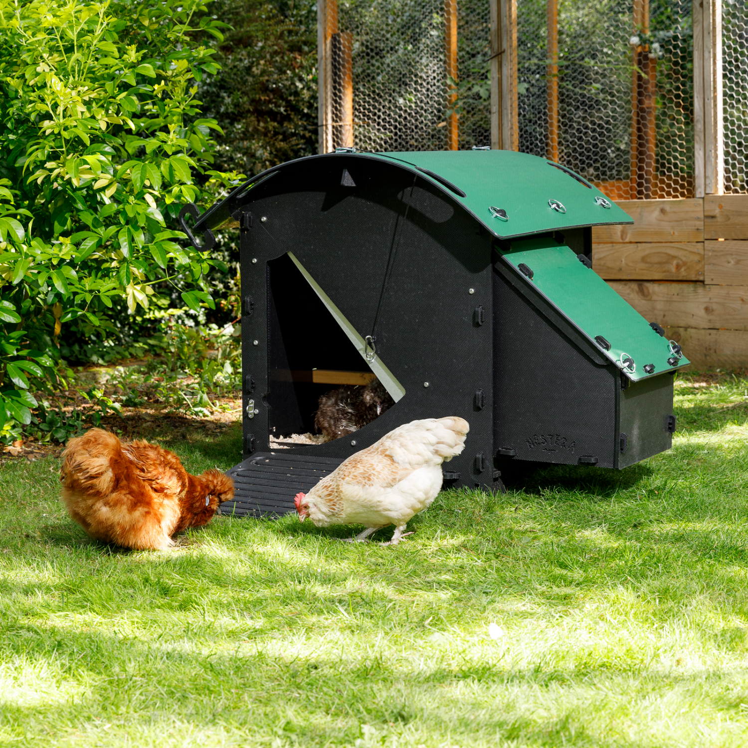 Poulailler au sol Nestera The House – 3 poules – plastique recyclé anti poux rouges – garanti 25 ans - Image 1