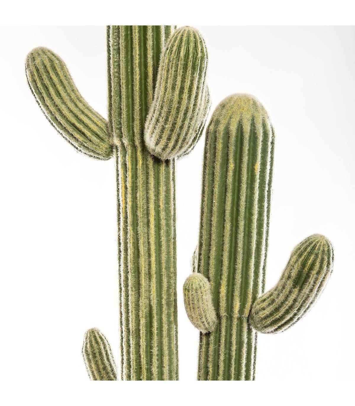 Plante artificielle  Cactus 3 Troncs dans son pot  H 203 cm - Image 2
