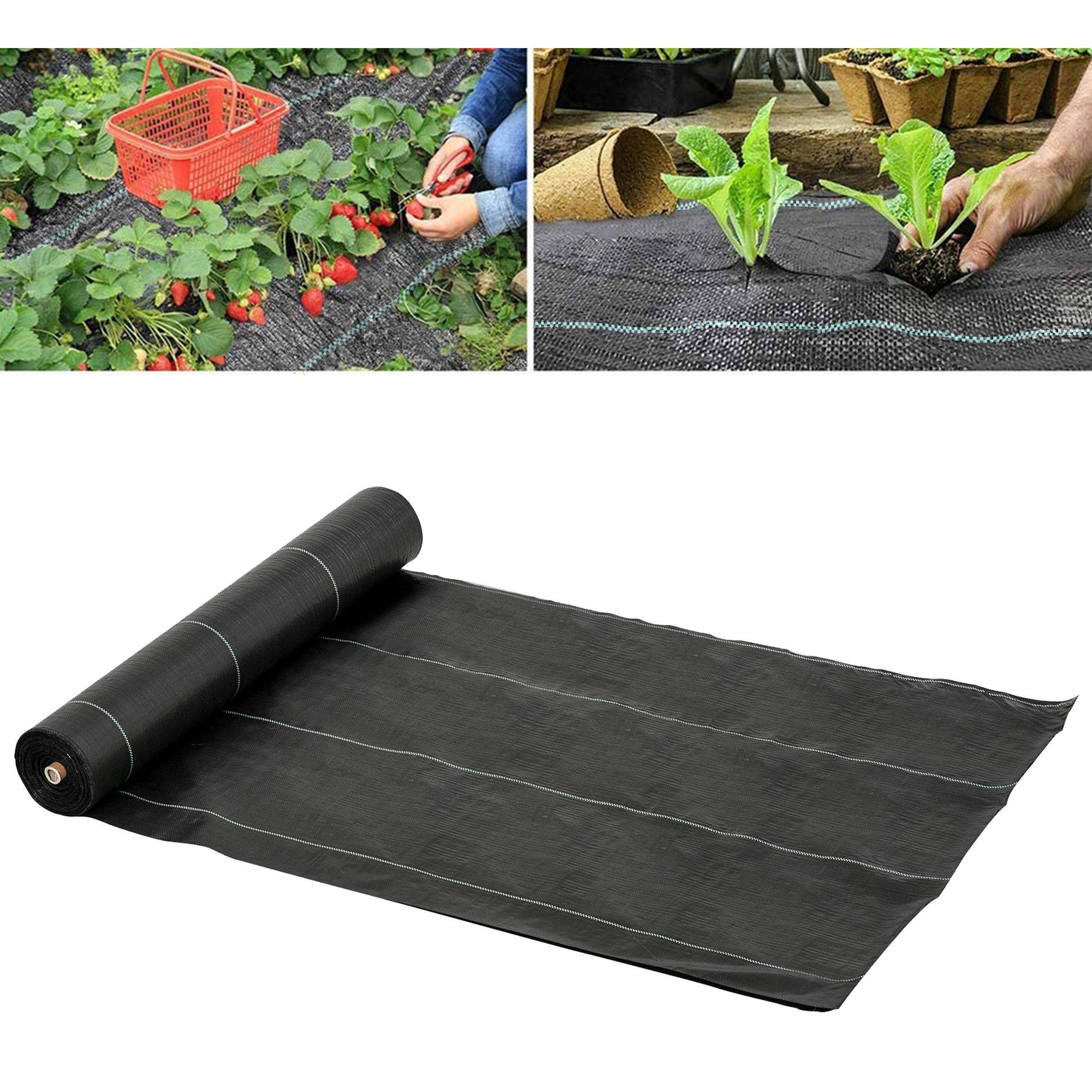 ComfortXL - Toile de paillage polypropylène 2 x 50 m noire pour jardin anti-mauvaises herbes - ComfortXL Outdoor Living - Image 4
