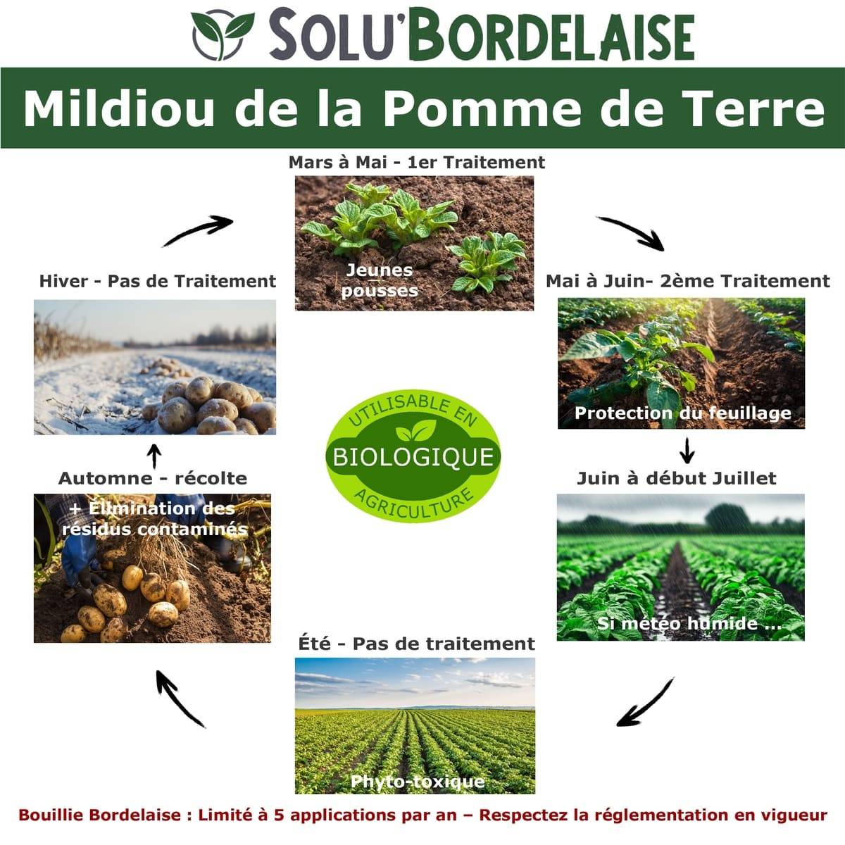 Solu'Bordelaise - 3 kg de Bouillie Bordelaise - Mildiou de la pomme de terre - Utilisable Agriculture Biologique - 3 Sachets Refermable de 1 kg - Image 2