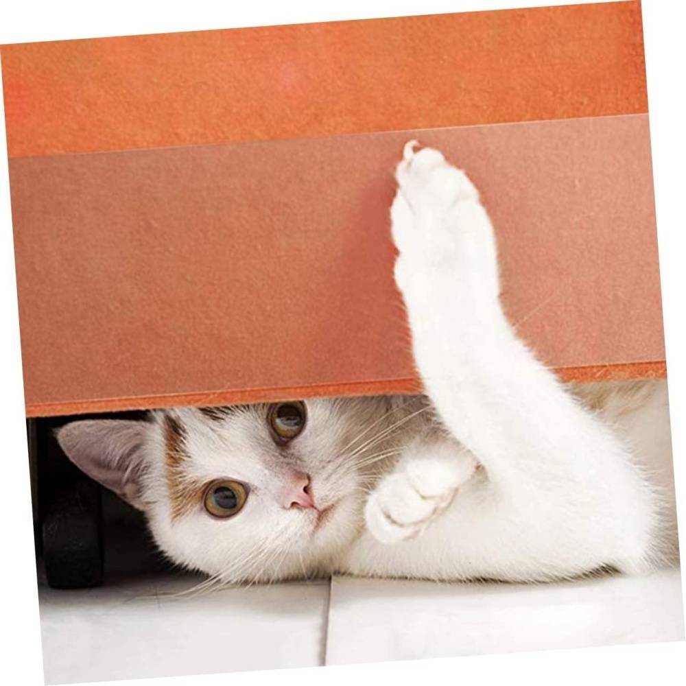 DtopbuyAge - Autocollant anti - grab pour chat et chien S DtopbuyAge - Image 3