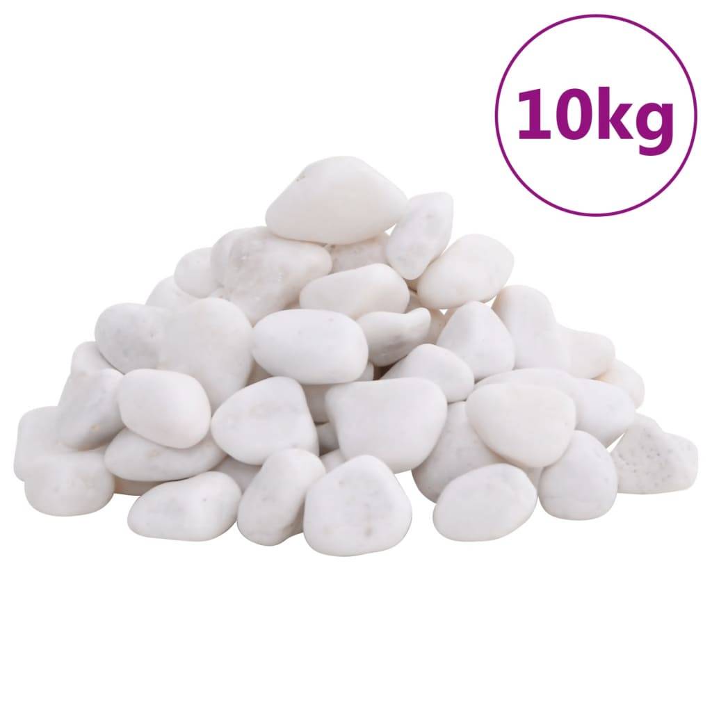 Vidaxl - Galets polis 10 kg blanc 2-5 cm vidaXL 155329 - Image 1