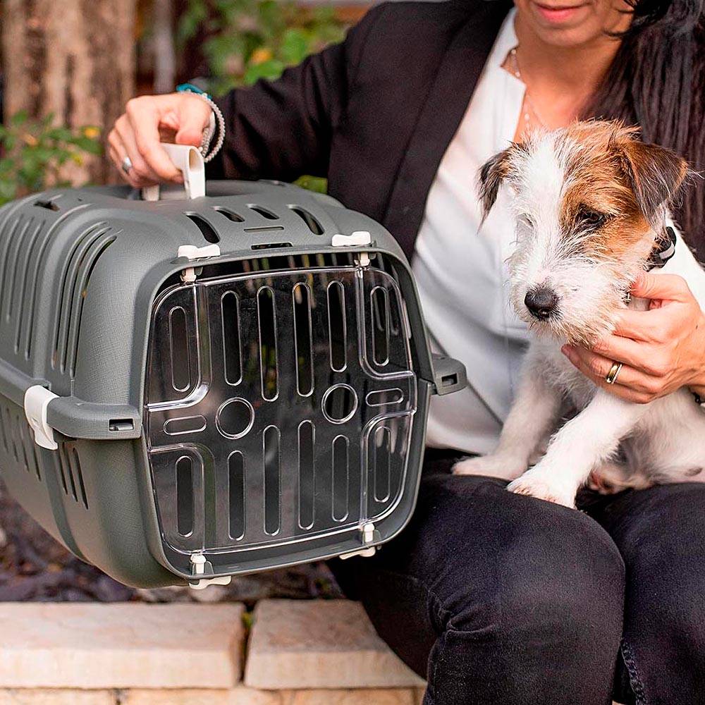 Ferplast - Ferplast Caisse de Transport Chat, Cage de Transport pour Chiens Petits et Chats jusqu'à 5 Kg, Porte Transparente Antichoc, Fentes d'aération, 32 x 47 - Image 3