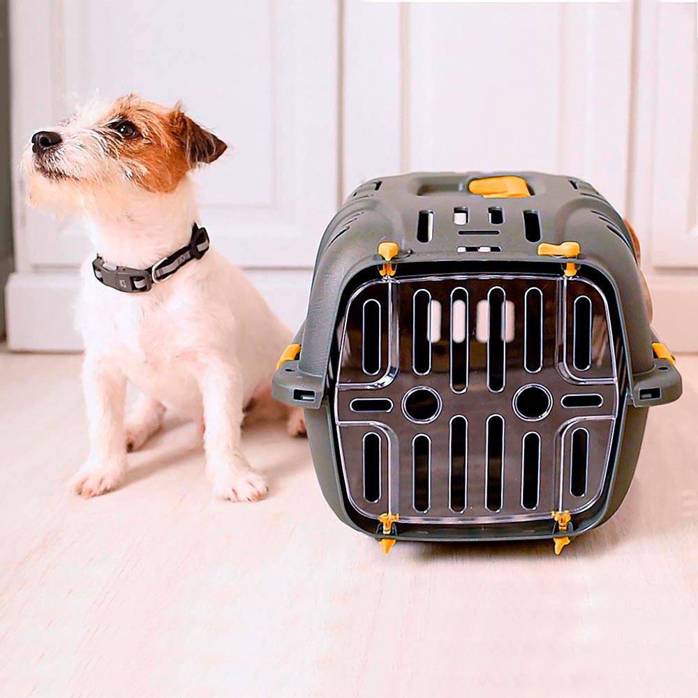 Ferplast - Ferplast Caisse de Transport Chat, Cage de Transport pour Chiens Petits et Chats jusqu'à 5 Kg, Porte Transparente Antichoc, Fentes d'aération, 32 x 47 - Image 4