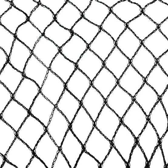 Filet de Protection 10x10m à Maille Hexagonale 35mm - Polyéthylène Anti-UV Noir - Image 2