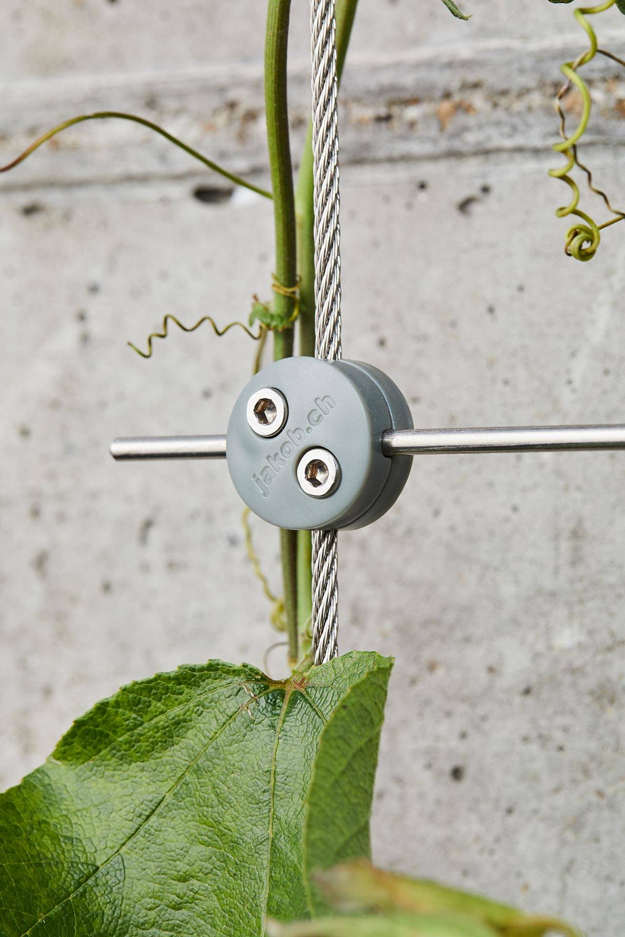 Autre - Greenkit 4 Support plantes grimpantes treillis acier inoxydable 960 X 2000mm Jakob Rope Systems - Image 5
