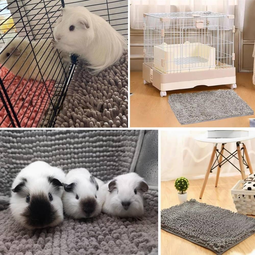 DtopbuyAge - Tapis pour Cage de Cochon d'Inde DtopbuyAge - Image 4