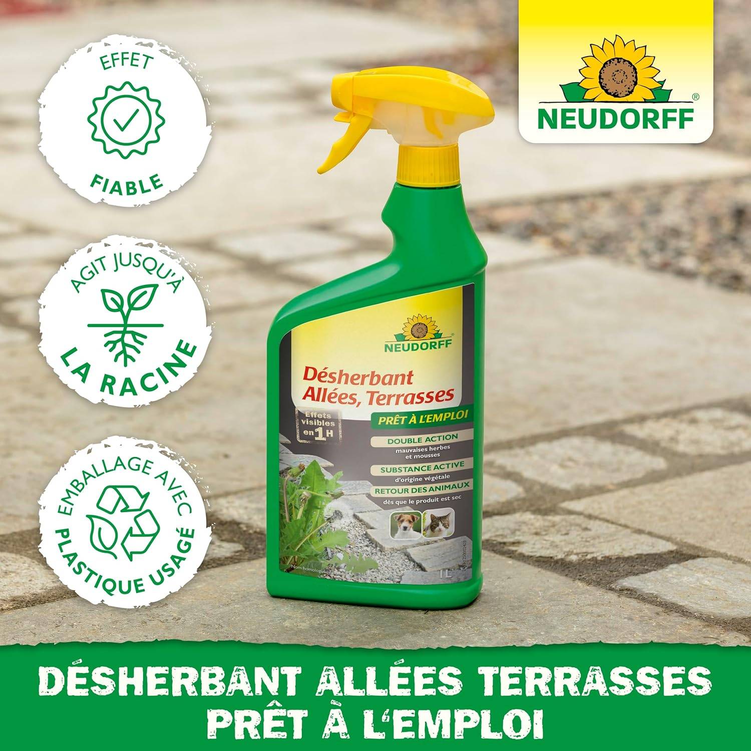 Neudorff - Neudorff Désherbant Allées Terrasses prêt à l'emploi, Pulvérisateur 1 l – Élimin - Image 4