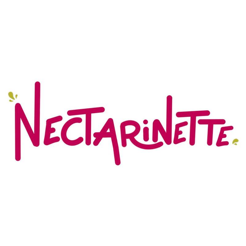 Nectarinier nain Nectarinette - Nains de jardins® - Bon rendement -  - De 1,50 m à 2,00 m - Image 2