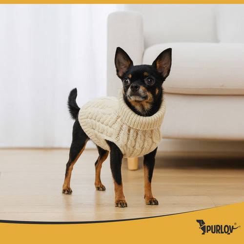 Entrepotbrico - Vêtements pour chien/chat taille S beige Purlov - Image 7
