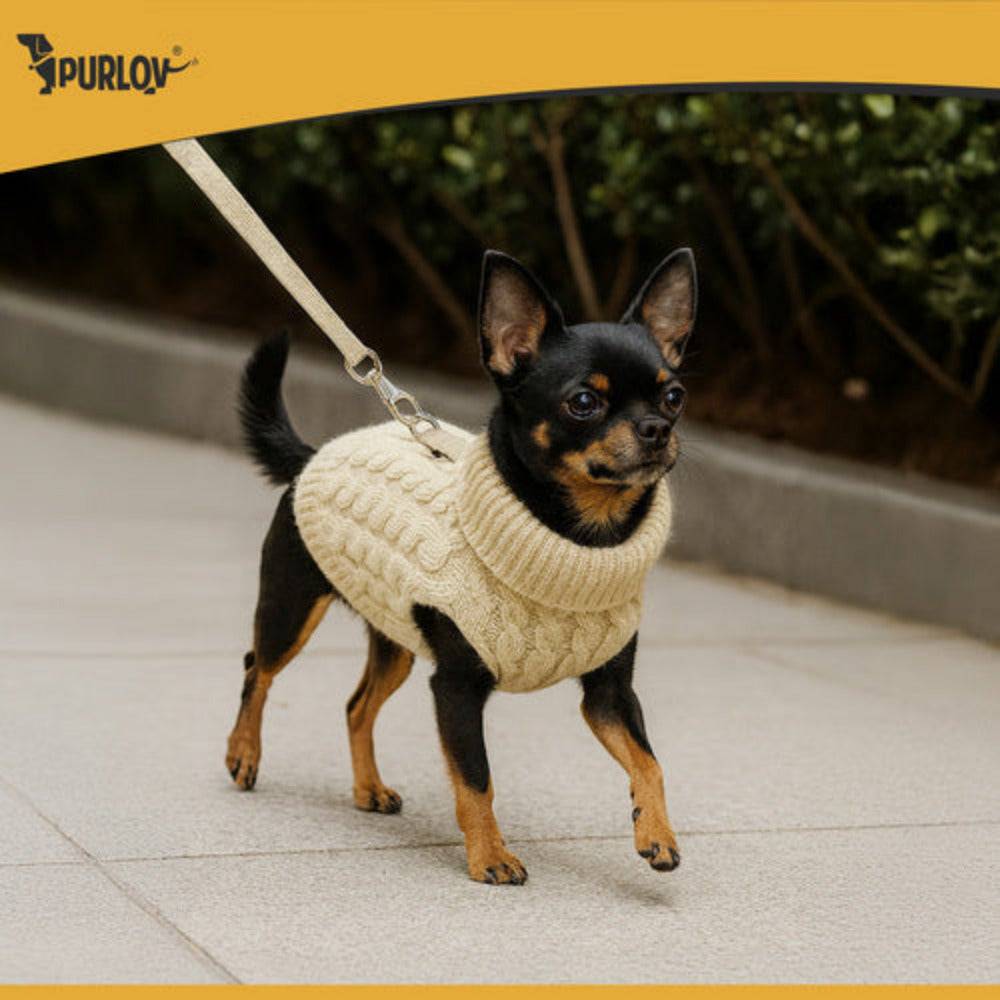 Entrepotbrico - Vêtements pour chien/chat taille S beige Purlov - Image 6