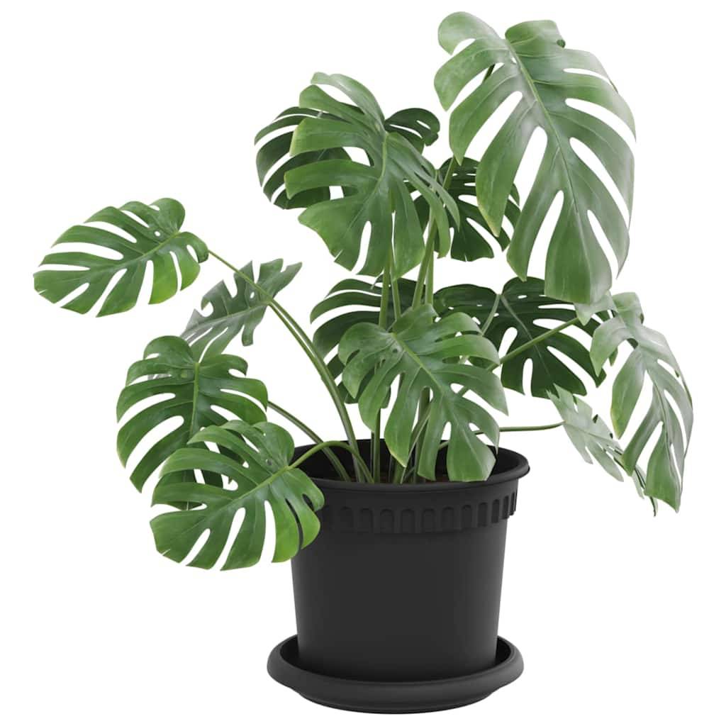 Vidaxl - Pots de plantes 6 pc Noir Plastique vidaXL 3403259 - Image 4