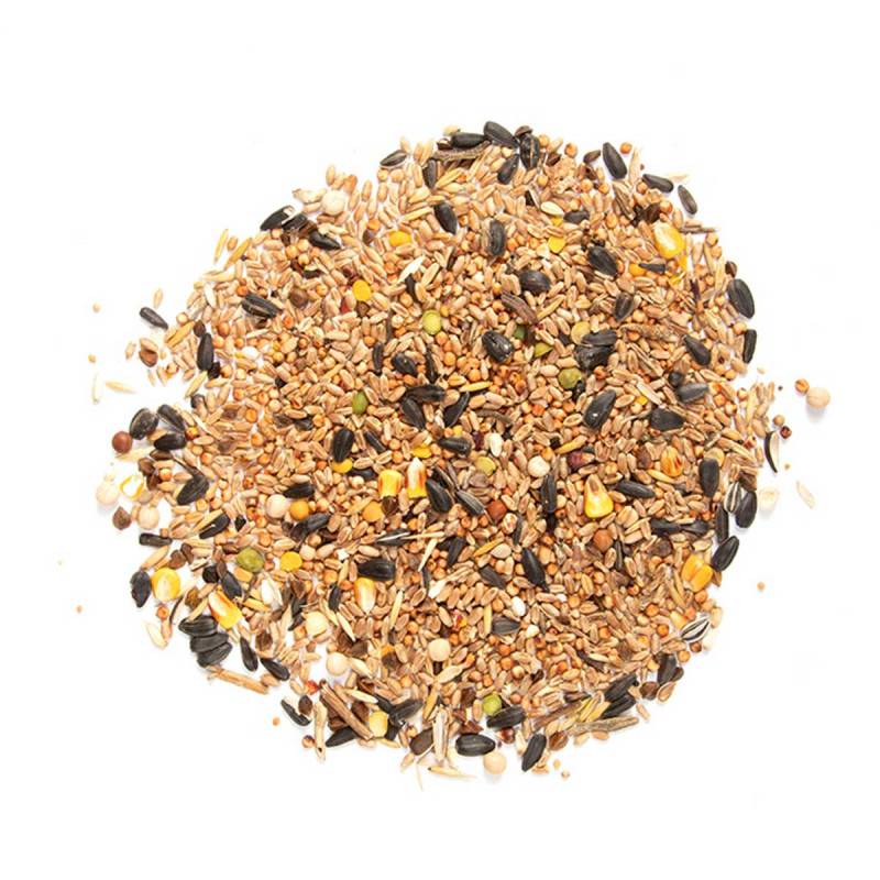 Esschert Design - Mix de graines 4 saisons 2,5kg pour oiseaux - Esschert Design - Image 2