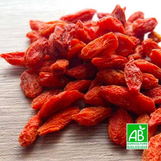 Goji de Chine BIO (Lycium chinensis) - Godet 9cm - Pépinières Naudet - Image 1